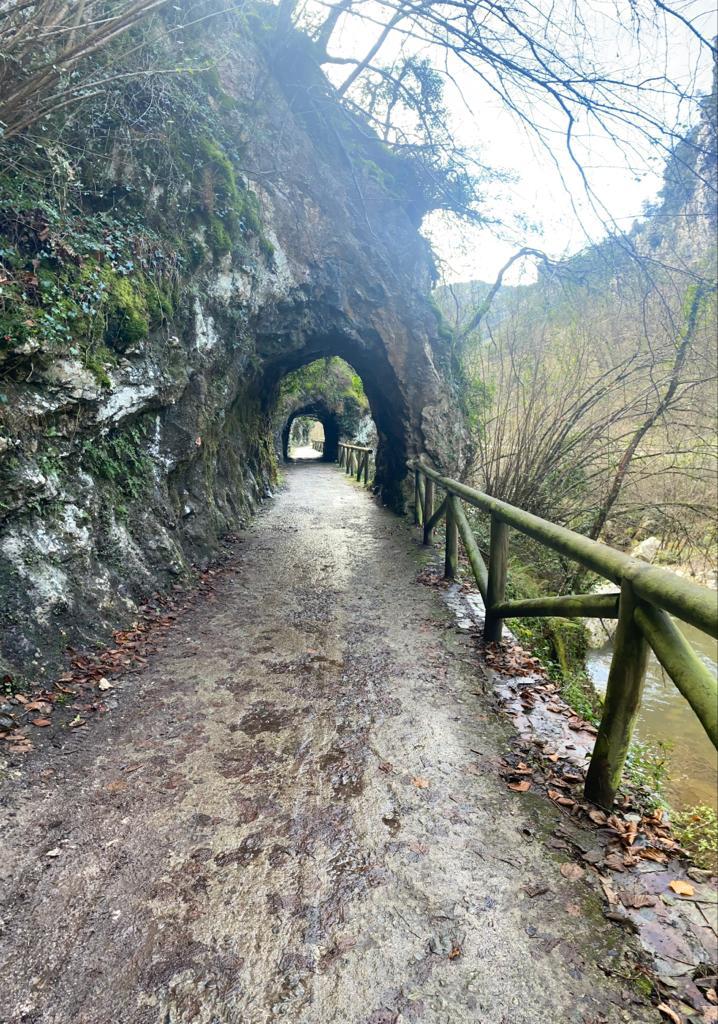 Disfrutando con <a href="/SaraLolo5/">Sara Lolo</a> de la Senda del Oso por tierras que Quirós,  Teverga y Proaza. <a href="/TurismoAsturias/">TurismoAsturias</a> #Asturias #ParaisoNatural #Somosdxtasturiano