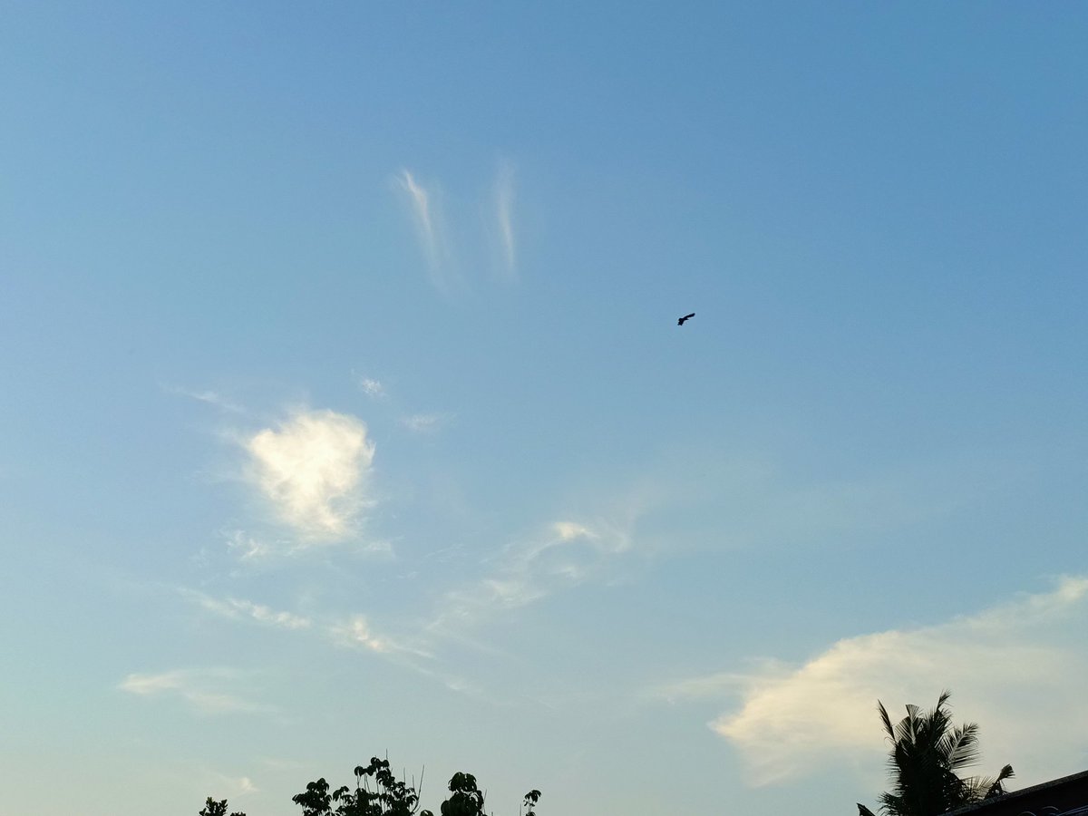 เหนื่อย~~