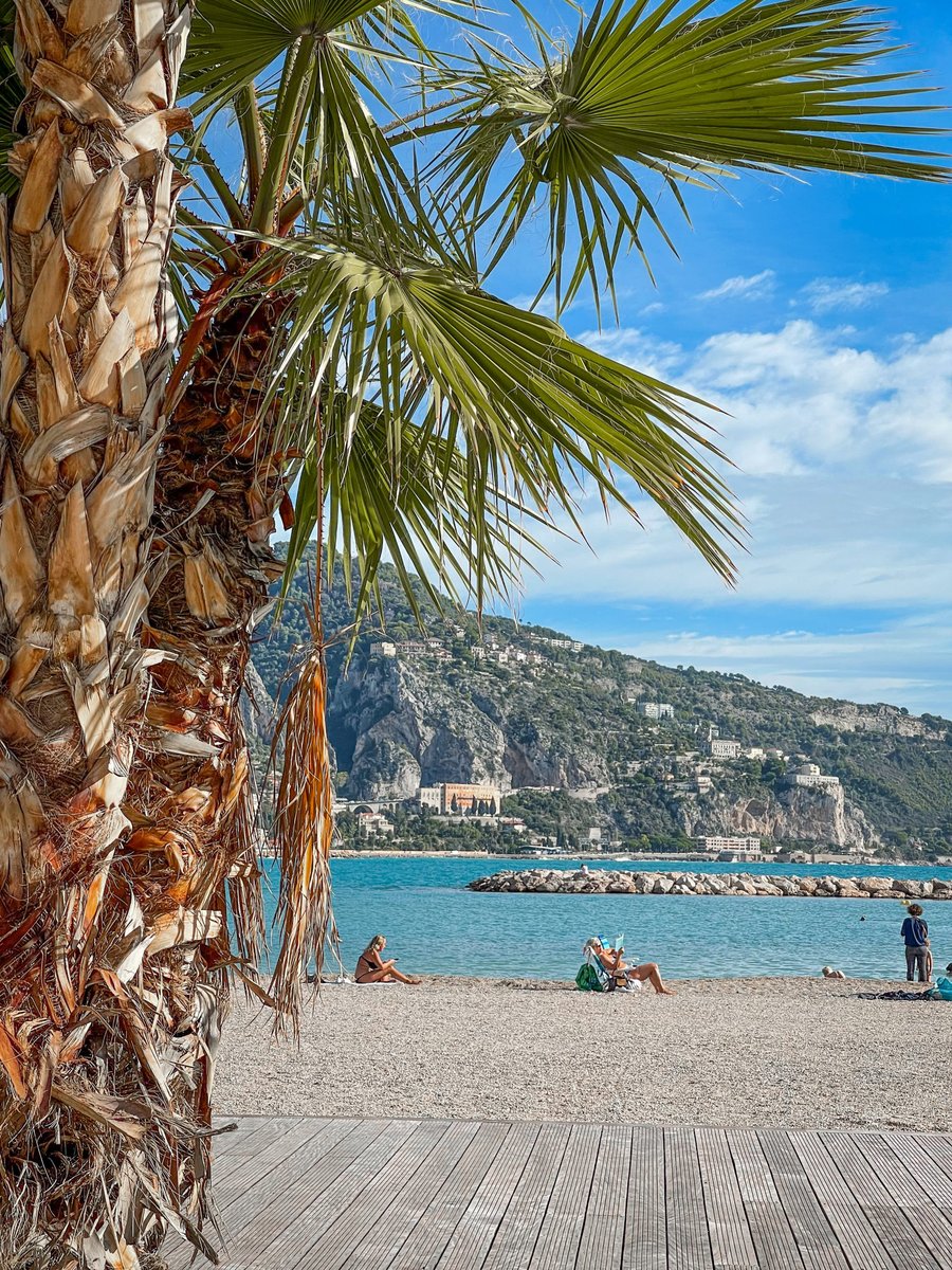 #Jeudiphoto - À Menton, où les palmiers se balancent doucement sous le soleil méditerranéen, chaque instant est une invitation à la détente et à la contemplation. 🌴🌊 #Cotedazurfrance