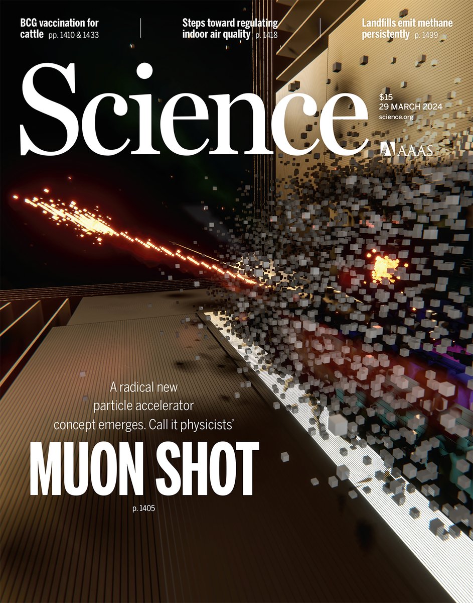 An accelerator known as a muon collider could revolutionize particle physics—if it can be built.

Read that story and more this week in Science: scim.ag/6or
