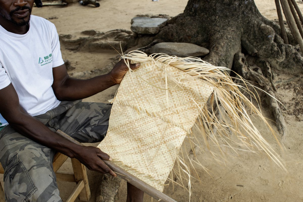 Today's Project Spotlight 🌟 features Ann Stahl’s #EMKP project (with Enoch Mensah, Sampson Attach, & Zonke Guddah) which documents the earthen and organic materials technologies of Banda, #Ghana. These images display the #harvesting and #weaving of raffia palm to form mats.