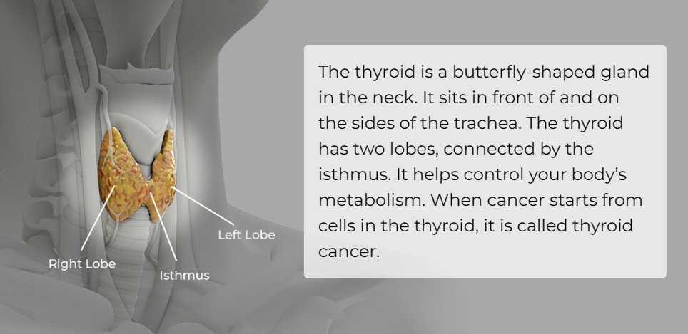 Questions about #MedullaryThyroidCancer (MTC)? More information at ow.ly/o1Vc50R46PS, a #MTCEducation website. #Medullary #Thyroid #MTCAwareness