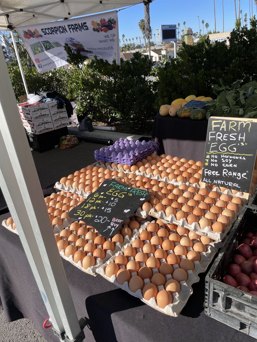 Get egg-cited that Saturday is a farmers’ market day! Scorpion Ranch has all the eggs you need to decorate for Easter! 🥚🐰 👋9 am - 1 pm Saturday 🚗Park at the parking garage at 1213 S. District Dr. & get validated at the Info Booth! 🎤Enjoy live music & kids activities too!