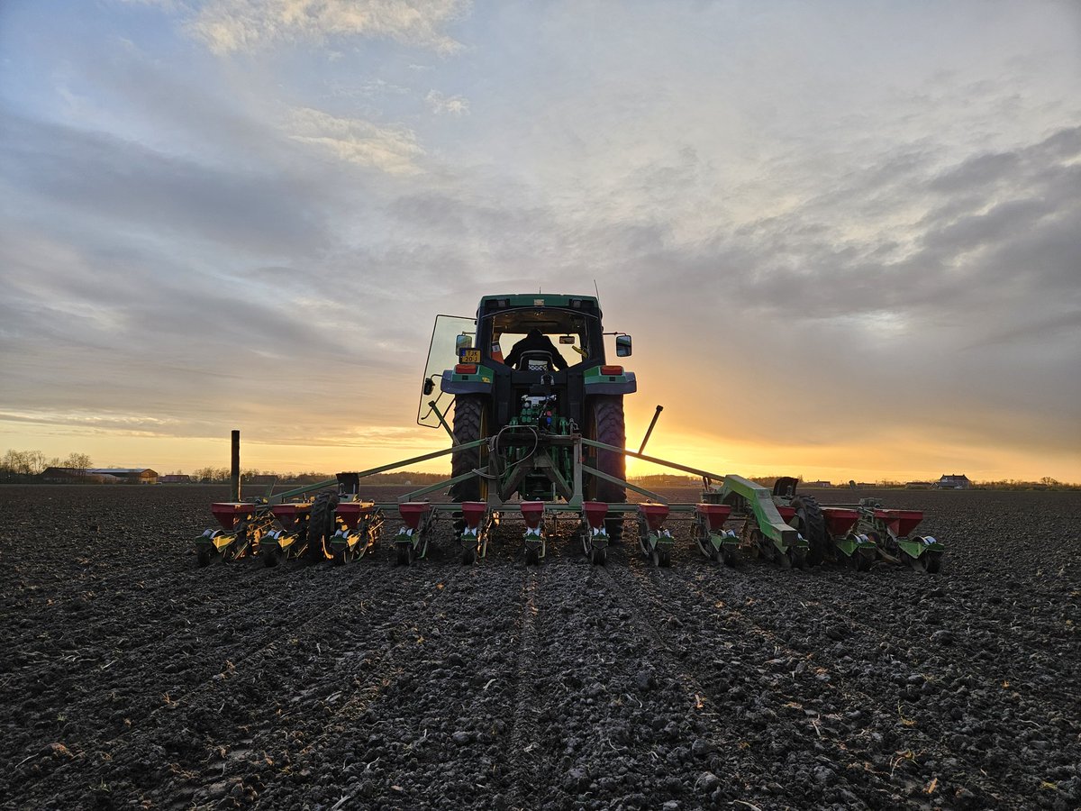 MvAndel's tweet image. En los! Momentjes stelen. #suikerbieten er toch maar in doen! #kennet @CosunBeetCo #oogst2024