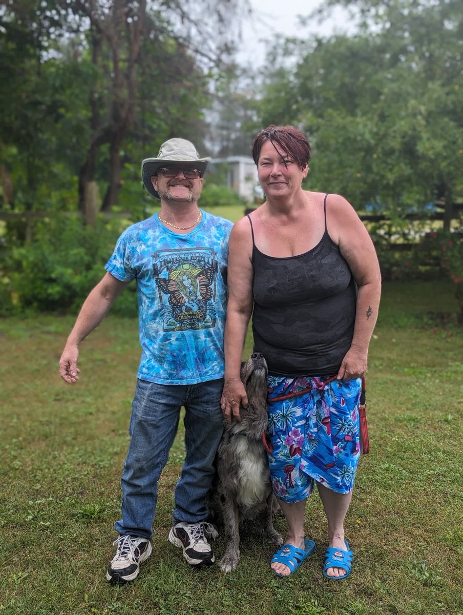 Dreamers Creative Writing tweet media