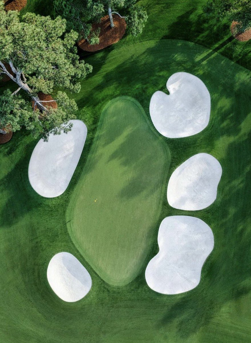 Tour Golf (not PGA Tour) tweet media