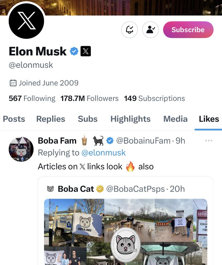 DogeFather (elonmusk) just acknowledged a $PSPS bobcat-related article moments ago! Congrats <a href="/BobaCatPsps/">Boba Cat</a>! 
#PSPS #ElonMusk