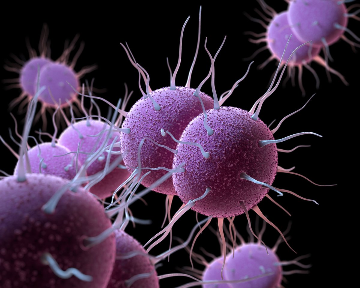 China sees dramatic rise in ceftriaxone-resistant gonorrhea The prevalence of ceftriaxone-resistant Neisseria gonorrhoeae isolates nearly tripled in China from 2017 through 2022. ow.ly/zwO950R4v2v