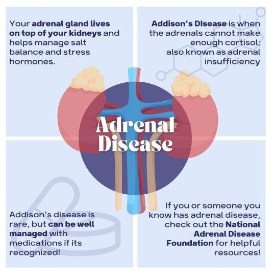 Join us as the AAES and NADF host a patient-focused webinar to answer the most pressing questions from patients about adrenal diseases. #AADAM2024 @NADF_Adrenal @TheAACE @TheEndoSociety