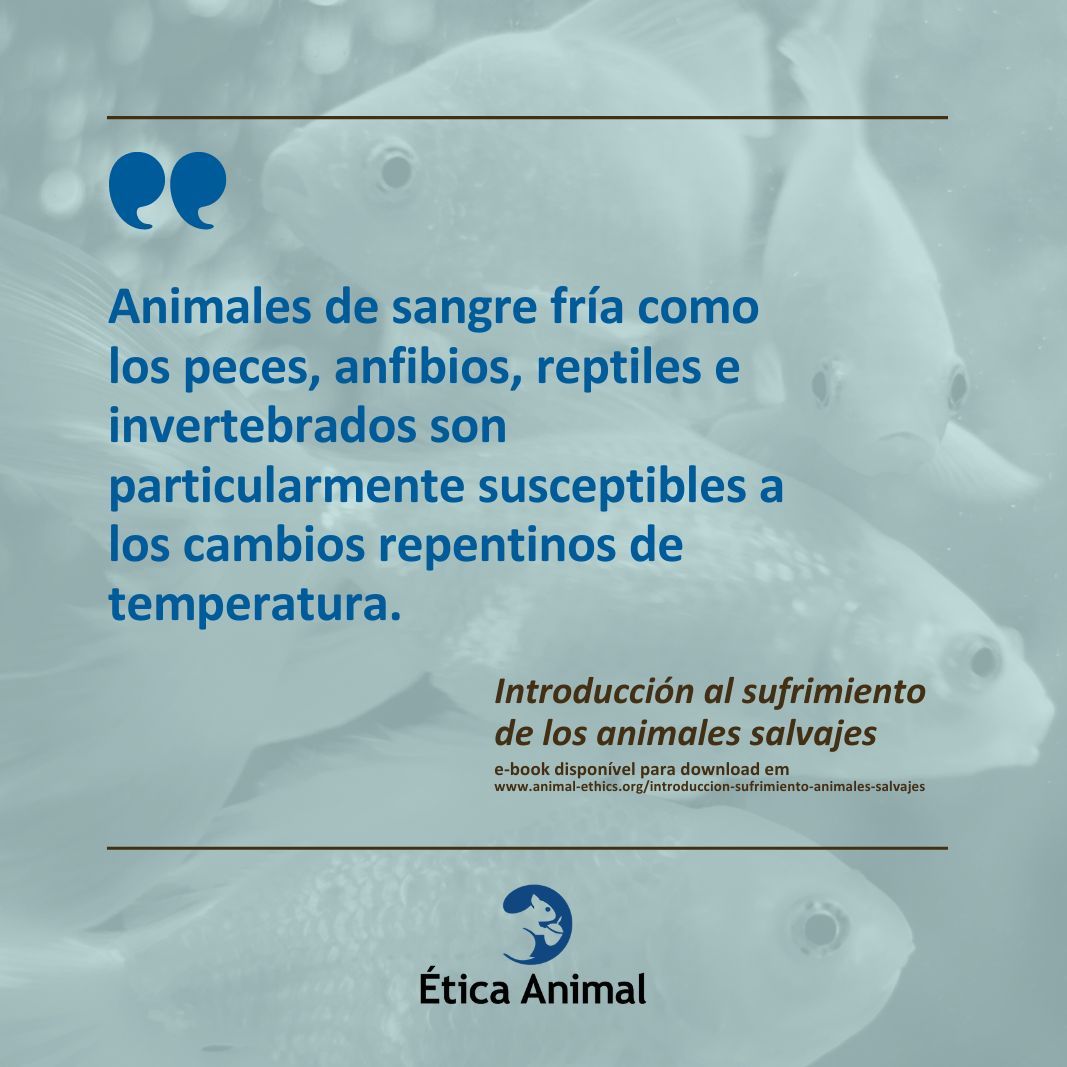 Descárgate el e-book gratuito 'Introducción al sufrimiento de los animales salvajes' Enlace en nuestro perfil. #antiespecismo #ayudaralosanimales #eticaanimal #defensaanimal #especismo #sintiencia #animalistas #antiespecistas #animalessalvajes