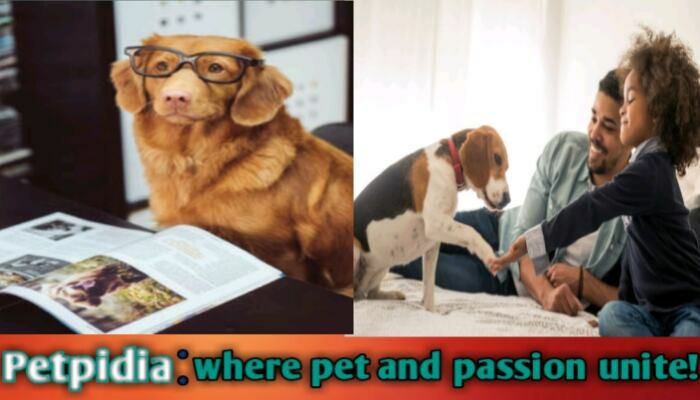 Studies On The Benefits Of Owning A Pet 

Studies show that owning a pet can improve mental and physical health. Pets provide companionship, reduce stress, and encourage exercise.

details: petpidia.com/studies-on-the…

#pet #studies #benefits #pets #petstagrams #petsofinstagrams
