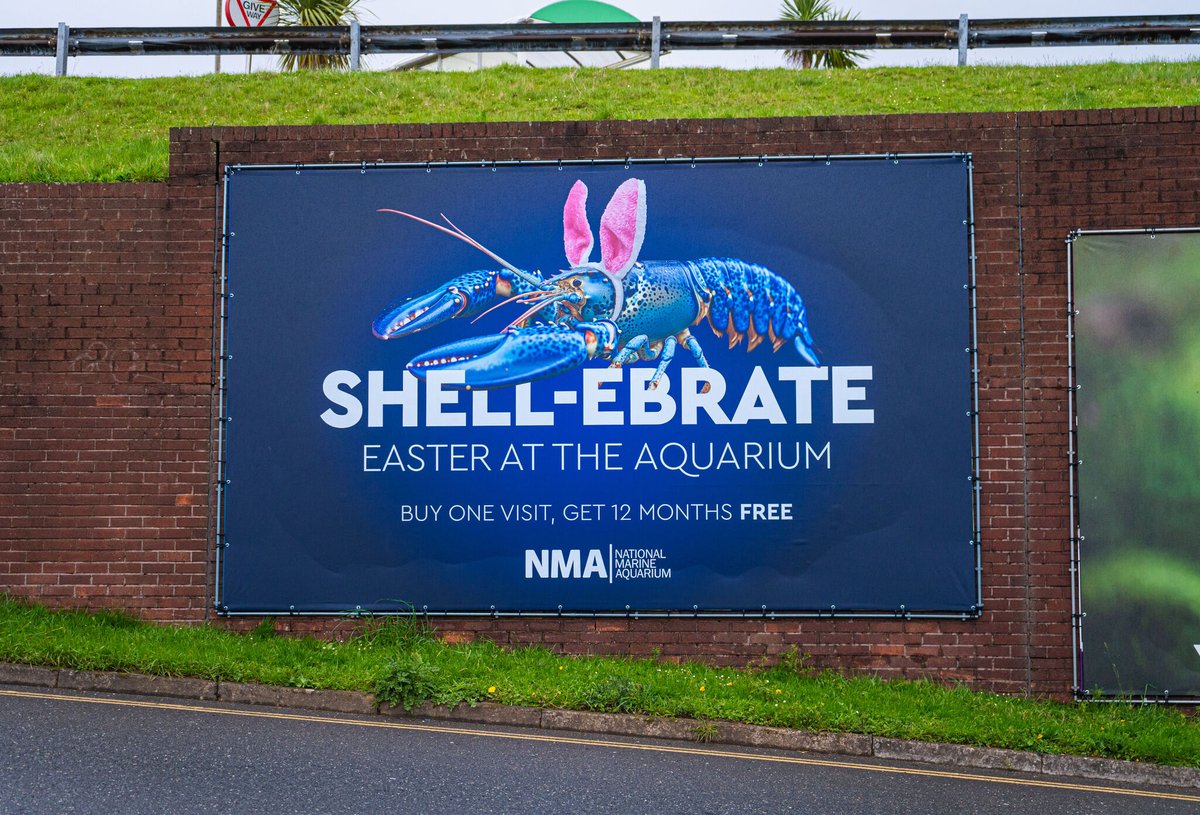 For Easter, we surprised Larry with his very own billboard! 🦞 We think he likes it, but he’s being shell-fish and won’t talk to us now he’s a famous TV star 😕 If you’re local, let us know if you’ve spotted him!