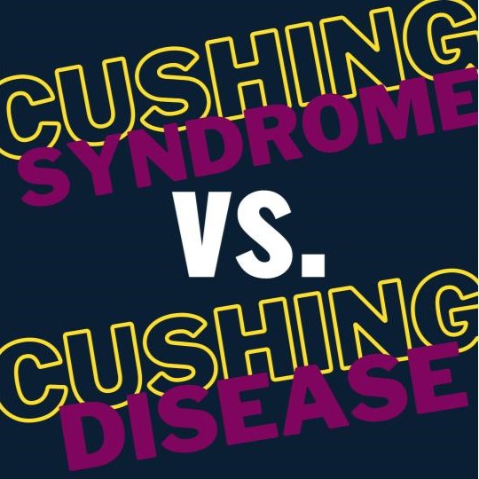 Cushing SYNDROME is a group of symptoms caused by exposure to high levels of cortisol. Cushing DISEASE is a form of Cushing syndrome caused by a mass in the brain (pituitary tumor) producing excessive adrenocorticotropic hormone. #AADAM2024 @NADF_Adrenal @TheAACE @TheEndoSociety