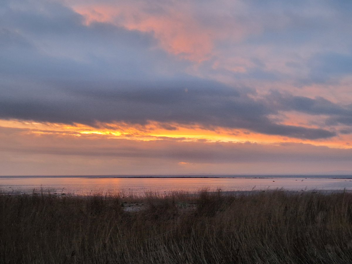 Big Mags tweet media