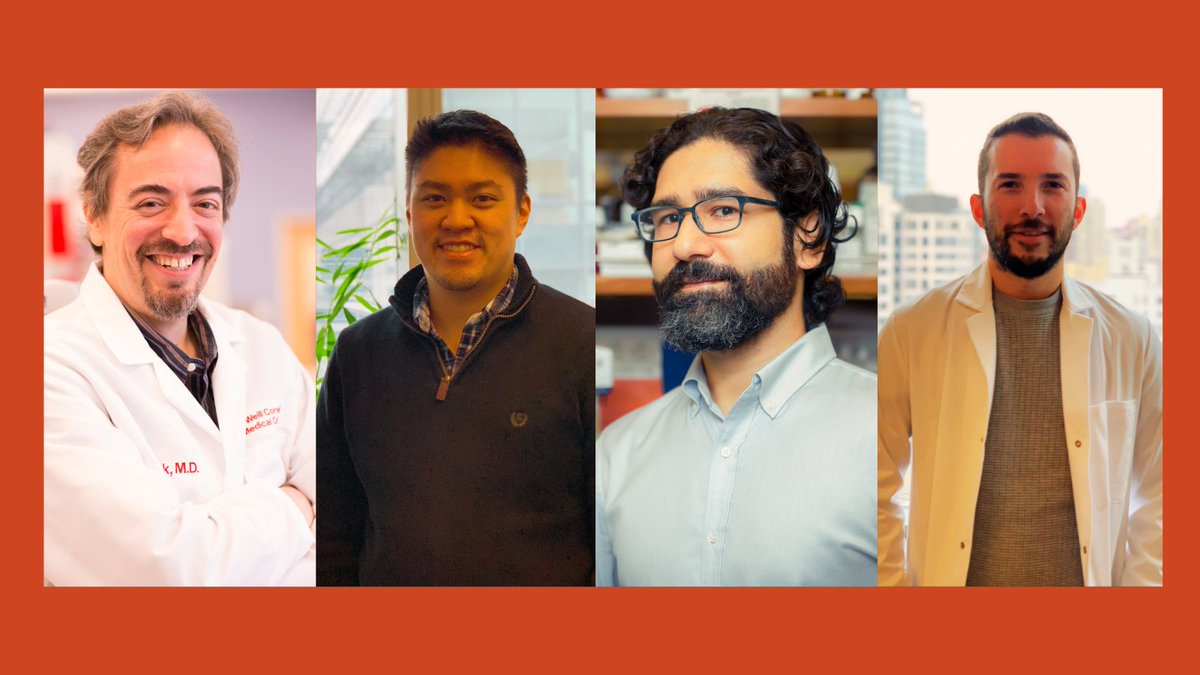 Weill Cornell Medicine (@weillcornell) on Twitter photo Researchers identify mechanisms that can transform follicular lymphoma into an aggressive form of cancer in some patients.
Findings from a team led by Dr. Ari Melnick (<a href="/LabMelnick/">Melnick Lab</a>) of <a href="/WCM_MeyerCancer/">Weill Cornell Medicine Meyer Cancer Center</a> suggest potential for new therapeutic strategies.
bit.ly/3TsJucs Researchers identify mechanisms that can transform follicular lymphoma into an aggressive form of cancer in some patients.
Findings from a team led by Dr. Ari Melnick (<a href="/LabMelnick/">Melnick Lab</a>) of <a href="/WCM_MeyerCancer/">Weill Cornell Medicine Meyer Cancer Center</a> suggest potential for new therapeutic strategies.
bit.ly/3TsJucs