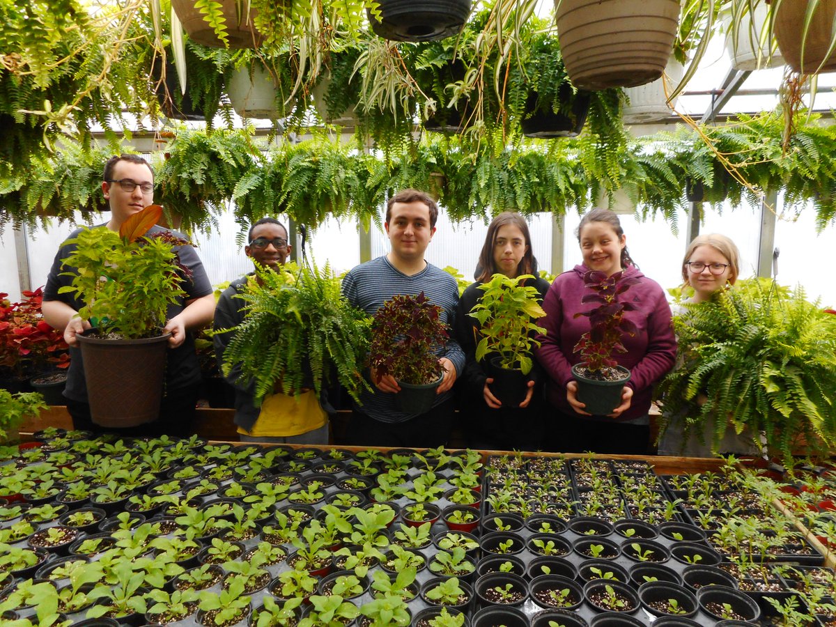 Cayuga Secondary School tweet media