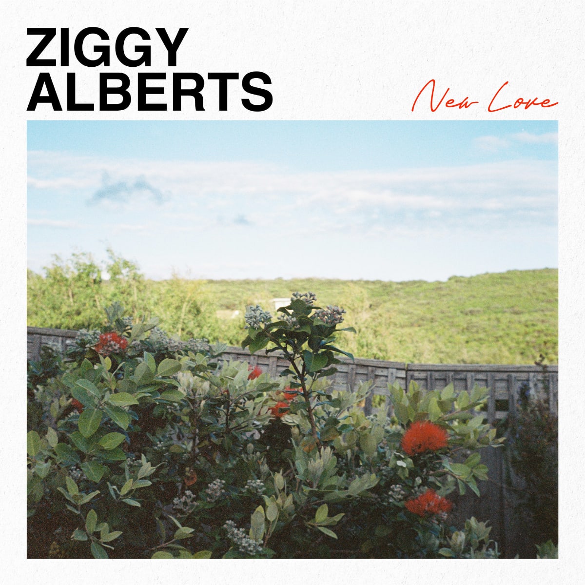 The Studio at the Factory (@studioatfactory) on Twitter photo New Love ❤️ out April 5. Pre-save now! <a href="/ZiggyJanAlberts/">Ziggy Alberts</a>
Do not forget to get your tickets to see him live in Dallas <a href="/studioatfactory/">The Studio at the Factory</a> on September 4 New Love ❤️ out April 5. Pre-save now! <a href="/ZiggyJanAlberts/">Ziggy Alberts</a>
Do not forget to get your tickets to see him live in Dallas <a href="/studioatfactory/">The Studio at the Factory</a> on September 4
