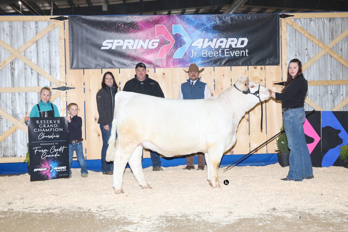 Ontario Charolais tweet media