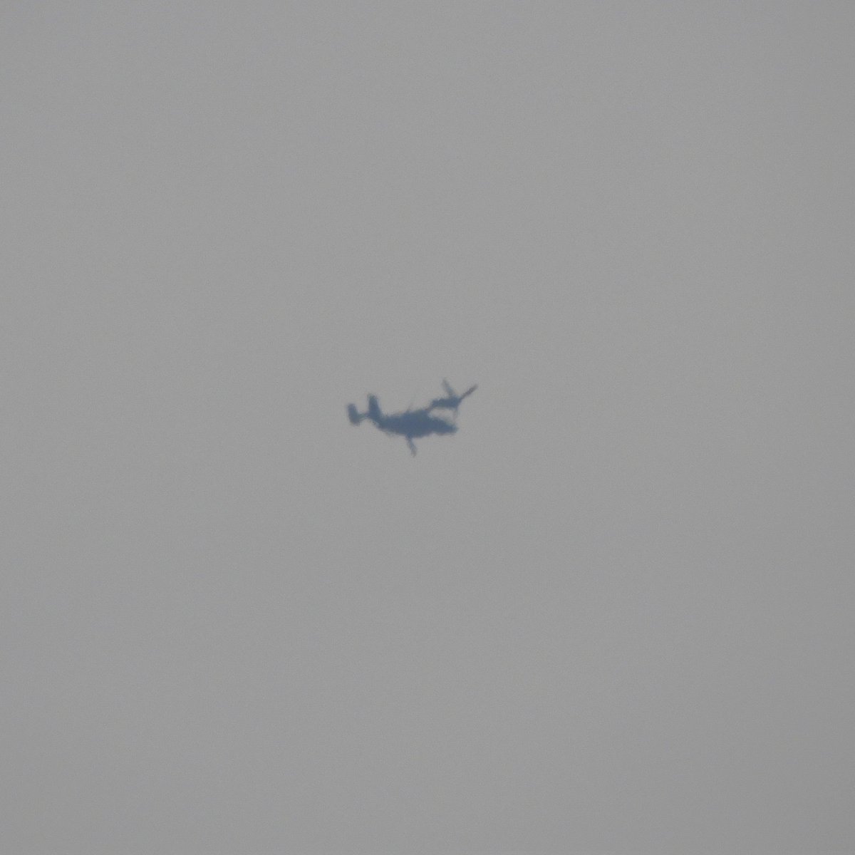 Low quality, but nice to see an Osprey over OC again! #RUDY73 #V22 #VRM30 #NZY