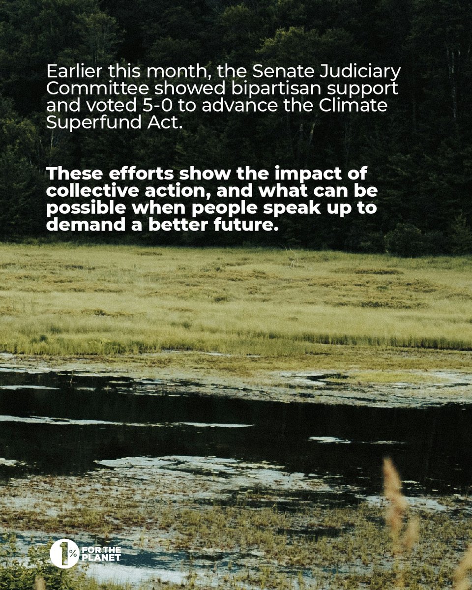 Climate wins are happening right in 1% for the Planet’s backyard of Vermont 🌳

#onepercentfortheplanet #climatesuperfund #vermont #climateaction #climatemovement