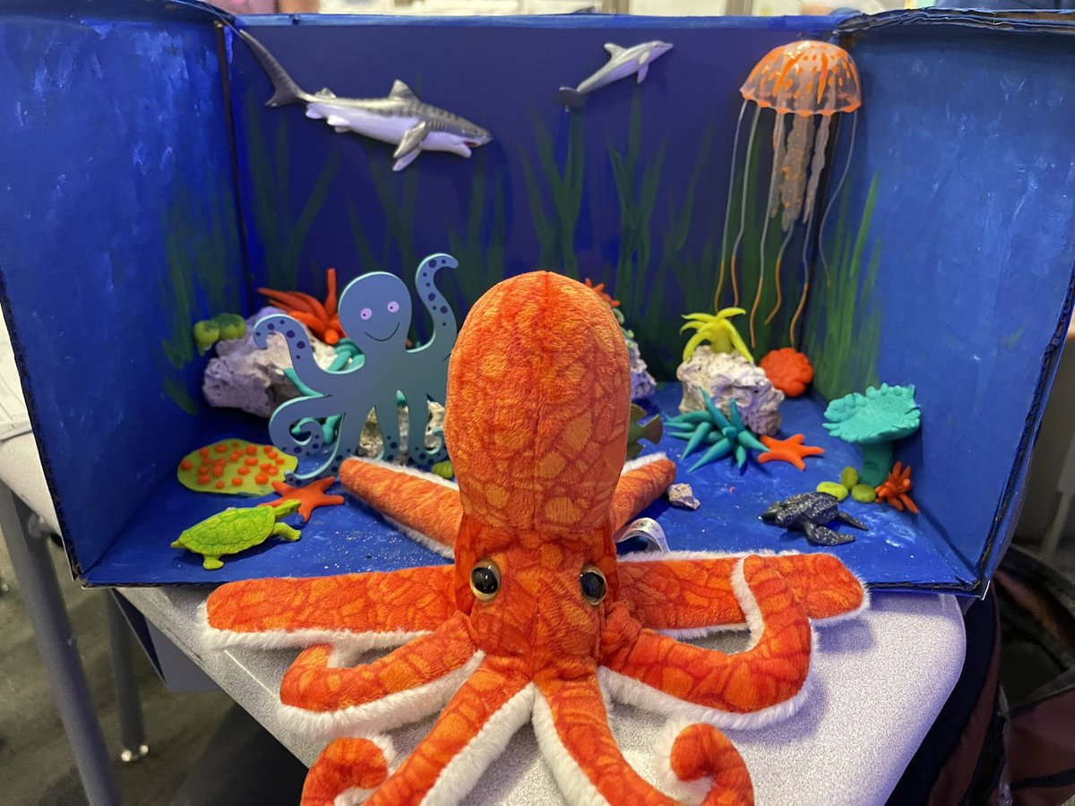 Just a few of our wonderful Zoo exhibit projects! Unbelievably proud of how my kiddos did 🩵 <a href="/cfisdmcgown/">@cfisdmcgown</a> #OwlAboutTheBest