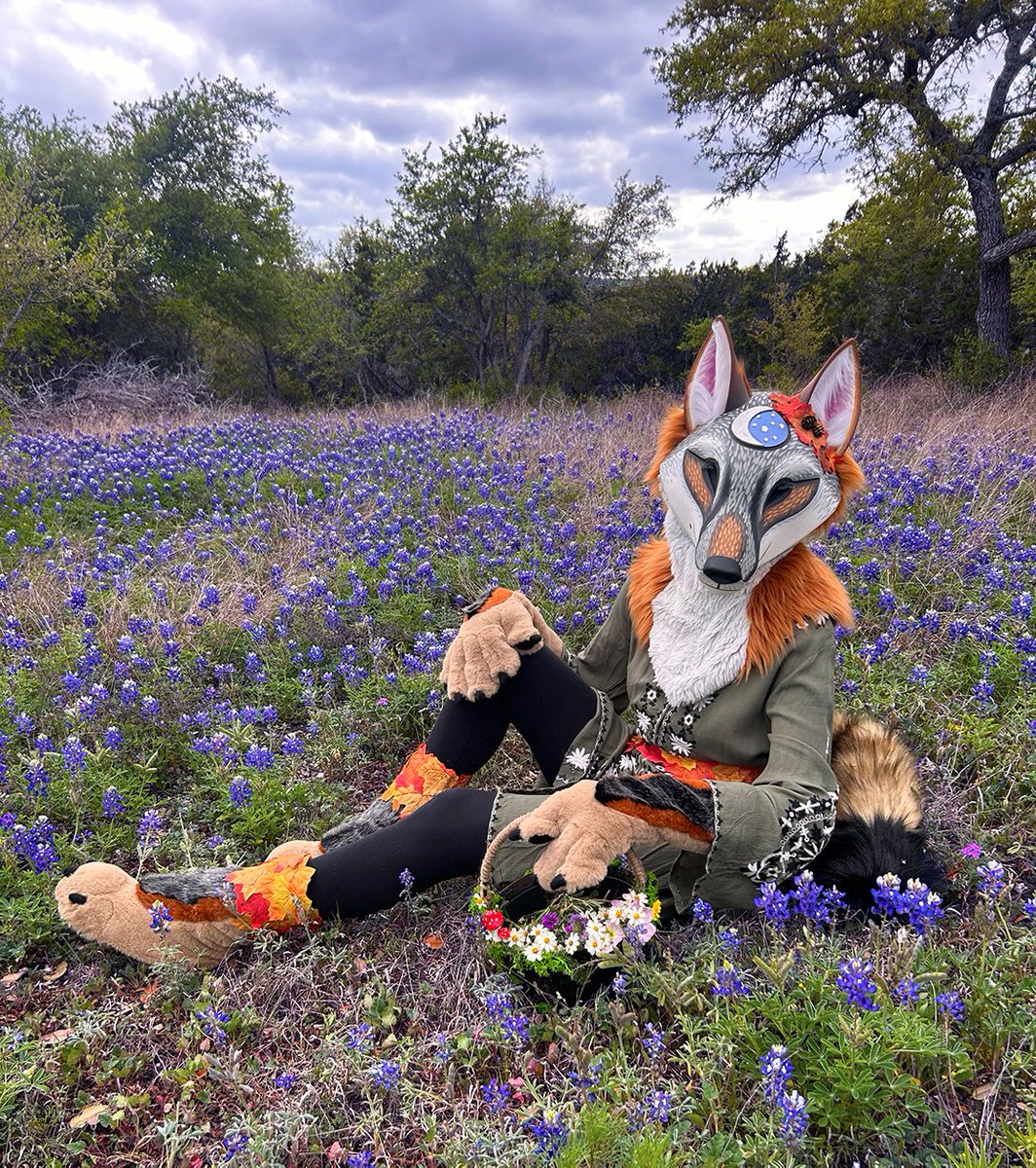 Springtime in Texas again!