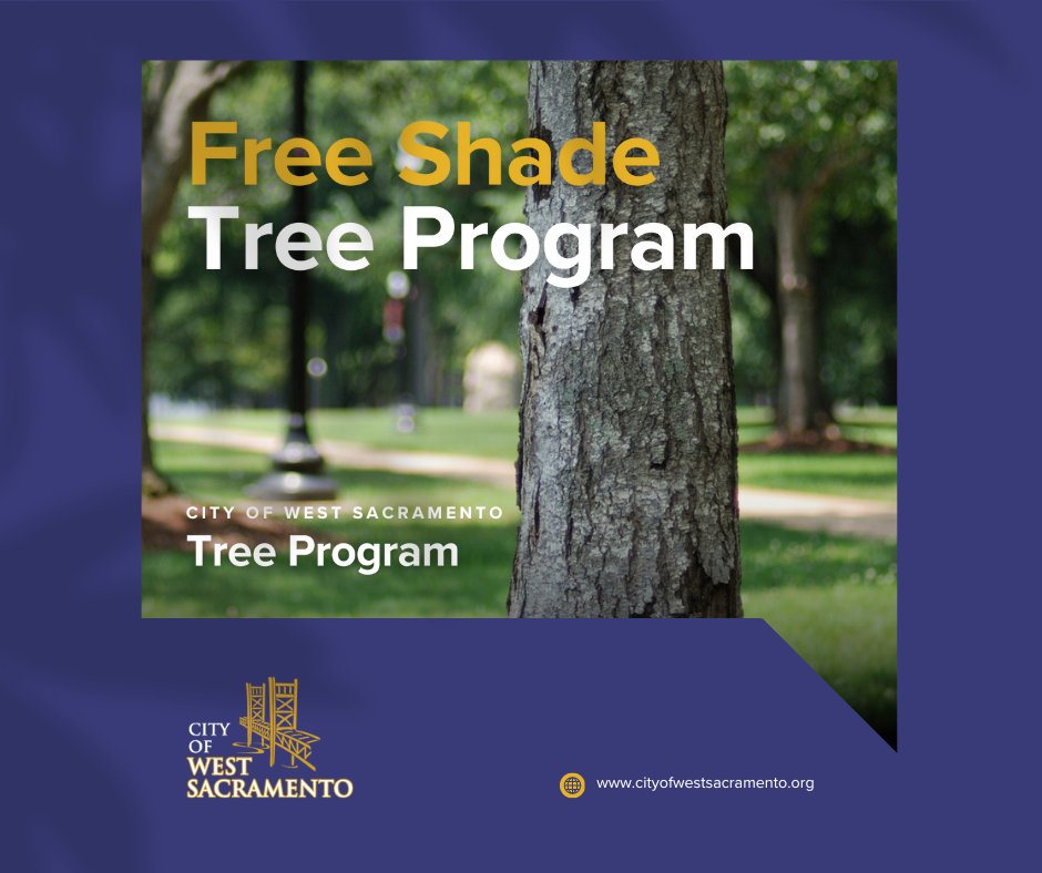 🌳 Free Shade Trees!

Looking for a little shade as we head into the warmer weather? You're in luck! The City of West Sacramento is sponsoring a shade tree program where we supply the shade trees for free! Learn more about it here: wsac.city/trees