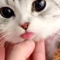 هوای همدیگه رو همینجوری تا اخر داشته باشیم🕊
🍃هرحمایتی بک داده میشه🍃
حمایت = حمایت ✅❤
<a href="/GetBlockGames/">BlockGames</a>

$BLOCK
<a href="/ricyofficial/">ricy</a>

$RICY
<a href="/ParamLaboratory/">Param Labs</a>

$PARAM
$BUBBLE