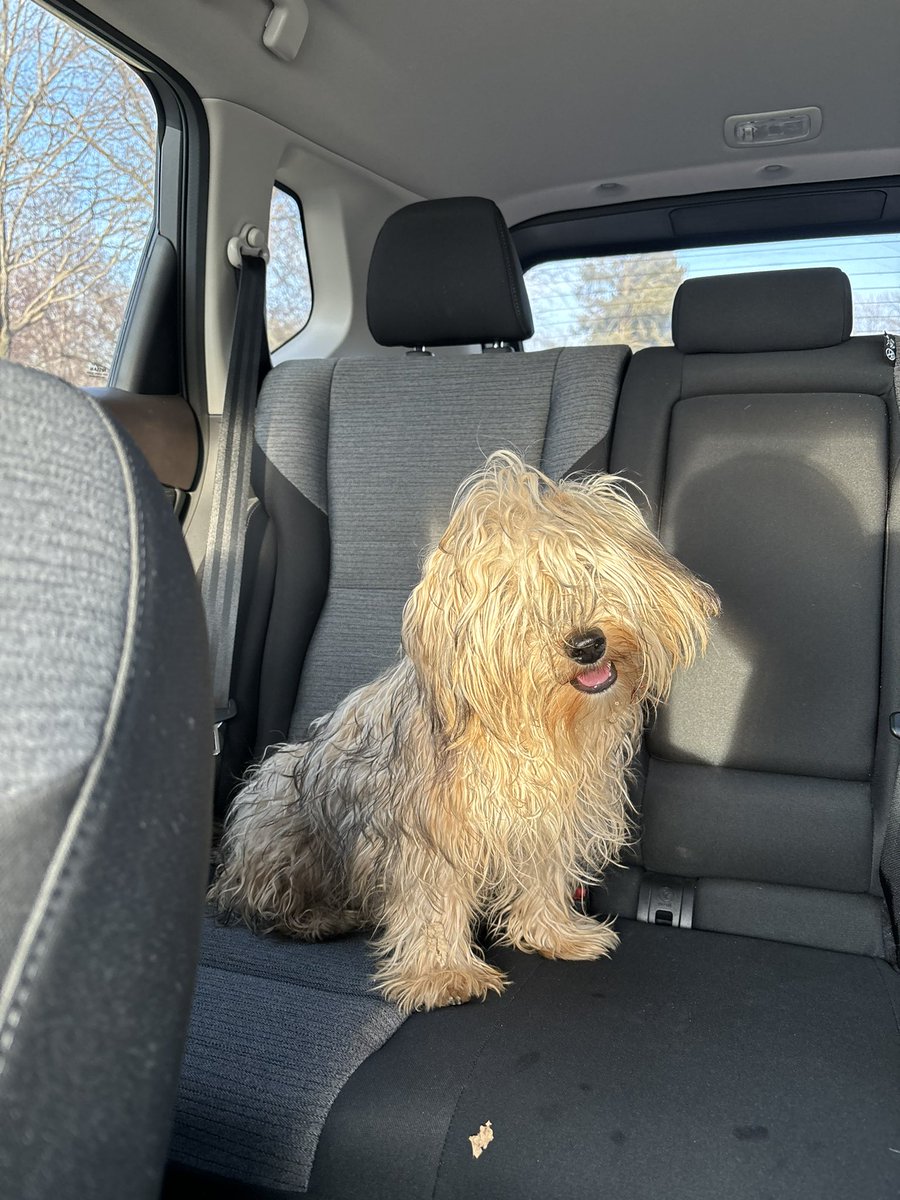 Omaha people! Need some help, found this puppy in the parking lot at Omaha Country Club. Ended up taking him to the Nebraska Humane Society just so the dog had a home for the night. Message me if this is your dog!