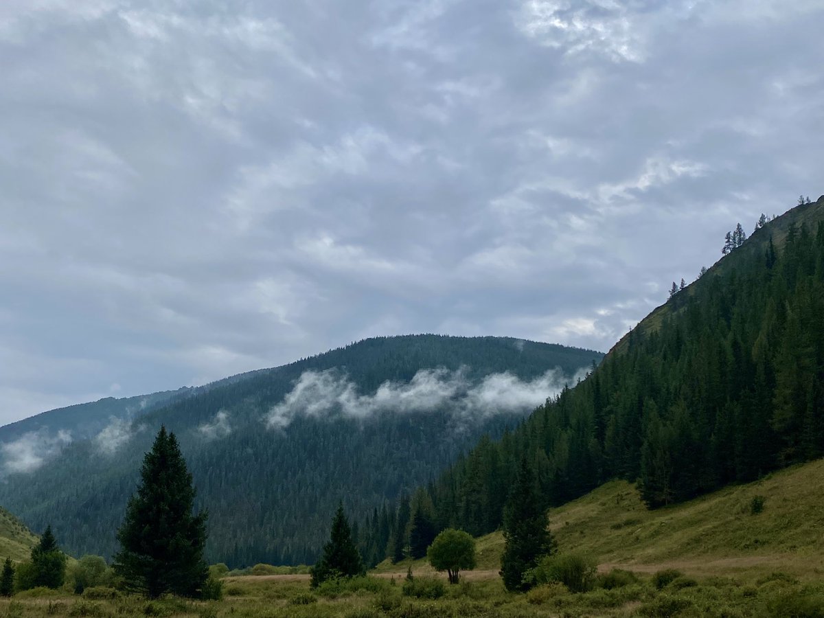 Өглөөний мэнд!