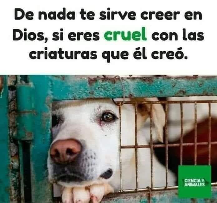 Issi Rodriguez (@isapaiz_) on Twitter photo 