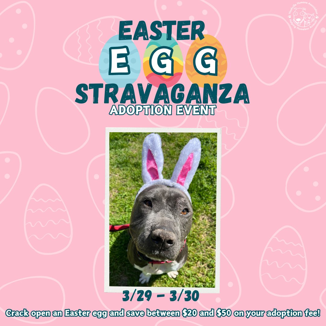 Join us for our Easter Eggstravaganza Adoption Event!🐰 We are closed on Sunday, so this event is happening on Friday, March 29th, and Saturday, March 30th. Crack open an NHA Easter Egg and save between $20 and $50 on your adoption fee for all cats, dogs, kittens, and puppies!