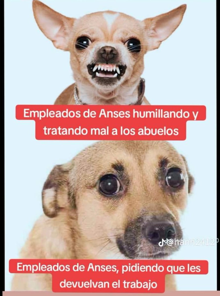 hombreenlacaja's tweet photo. ☠️☠️☠️ https://t.co/EFFgWbgqPC