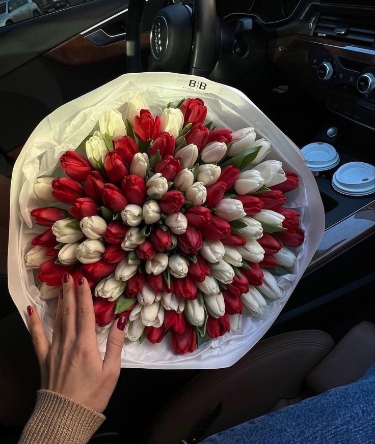 Red &amp; White Tulips