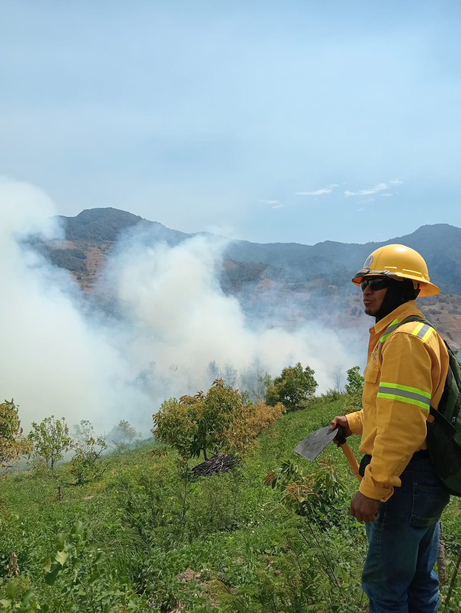 Coesfo y Conanp atienden incendio en Sierra de Flores Magón La @COESFO_GobOax y la @CONANP_mx coordinan acciones para combatir, controlar y liquidar el incendio forestal que afecta los municipios de Santa María Pápalo y San Juan Tepeuxila en la Sierra de Flores Magón. Las