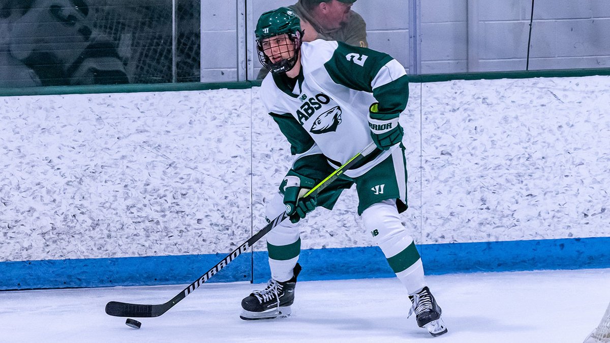 .@BabsonHockey's Bailey named to New England Hockey Writers Association Division II-III All-Star team: tinyurl.com/3uu84bz5 #GoBabo #d3hockey