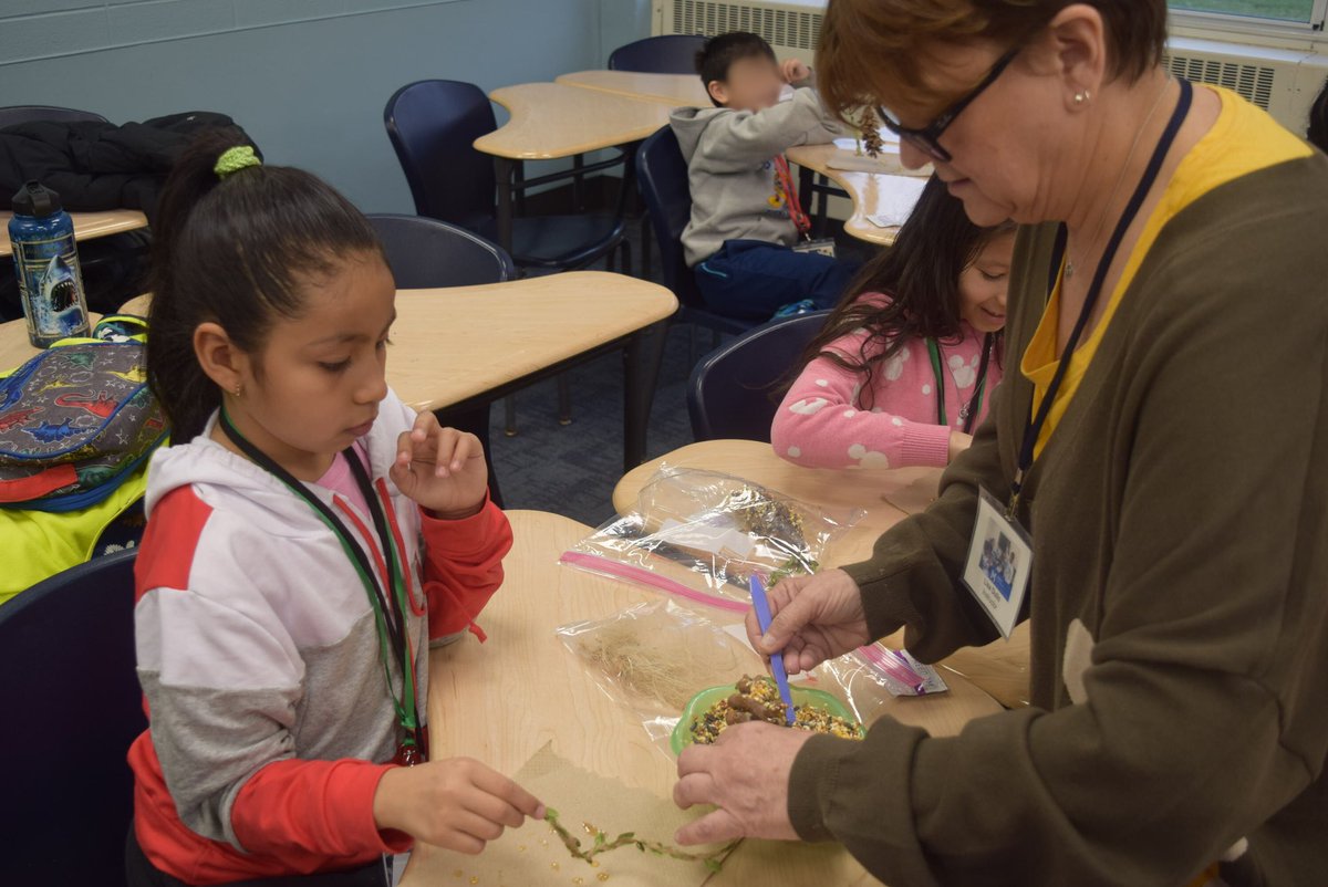 Mercy Center STEM Ed tweet media