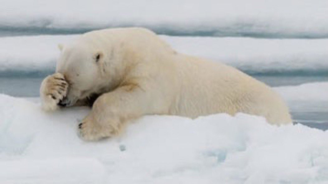 Everything that happened last night came back to Phillip all at once. He was now pretty sure he knew just exactly what he’d do for a Klondike Bar, and he really hoped there weren’t any pictures.