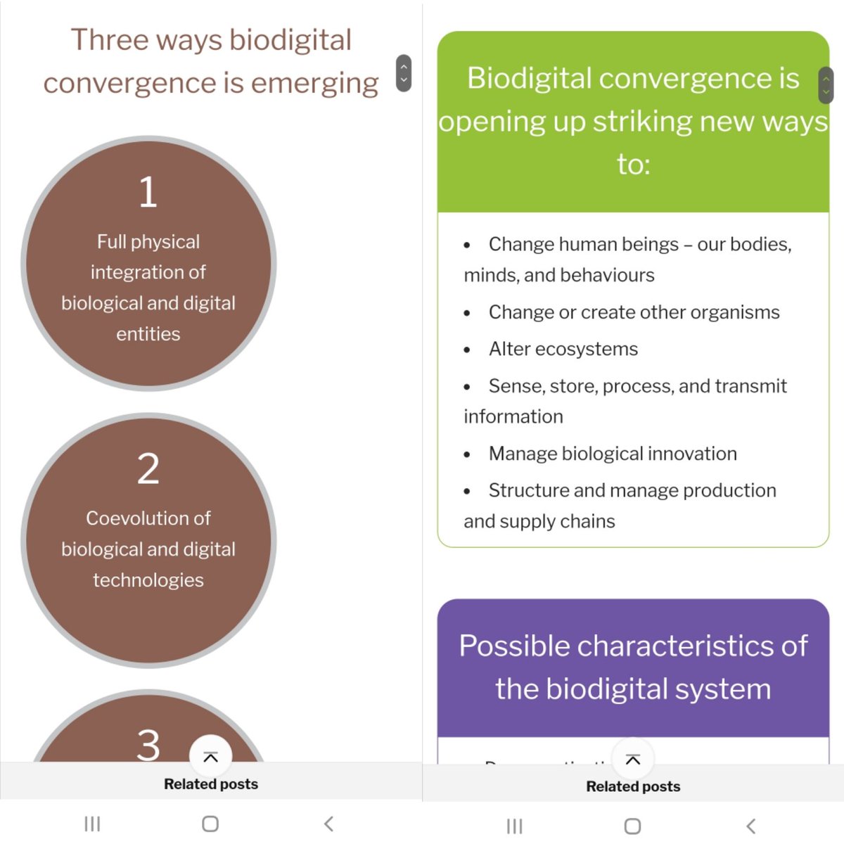 Barely Bruised Books tweet media