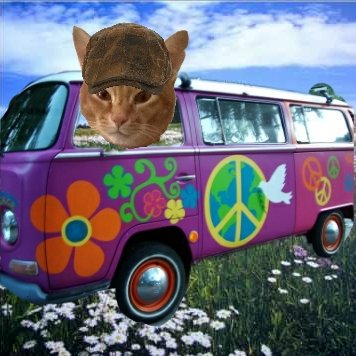 Join us at #Purrs4Peace in 5 mins! Hop on @SquirtTheCat 's #Peacebus & purr/woof/coo/tweet for peace! #wlf #zshq #fbjam #weeti #BBoT #PA #Tributeride #Pawgaritaville #HealingPurrsPawty #pawcircle #TheAviators  All Welcome! PurrpurrPurrpurrPurrpurrPurrpurrPurrpurrPurrpurrPurrpurr