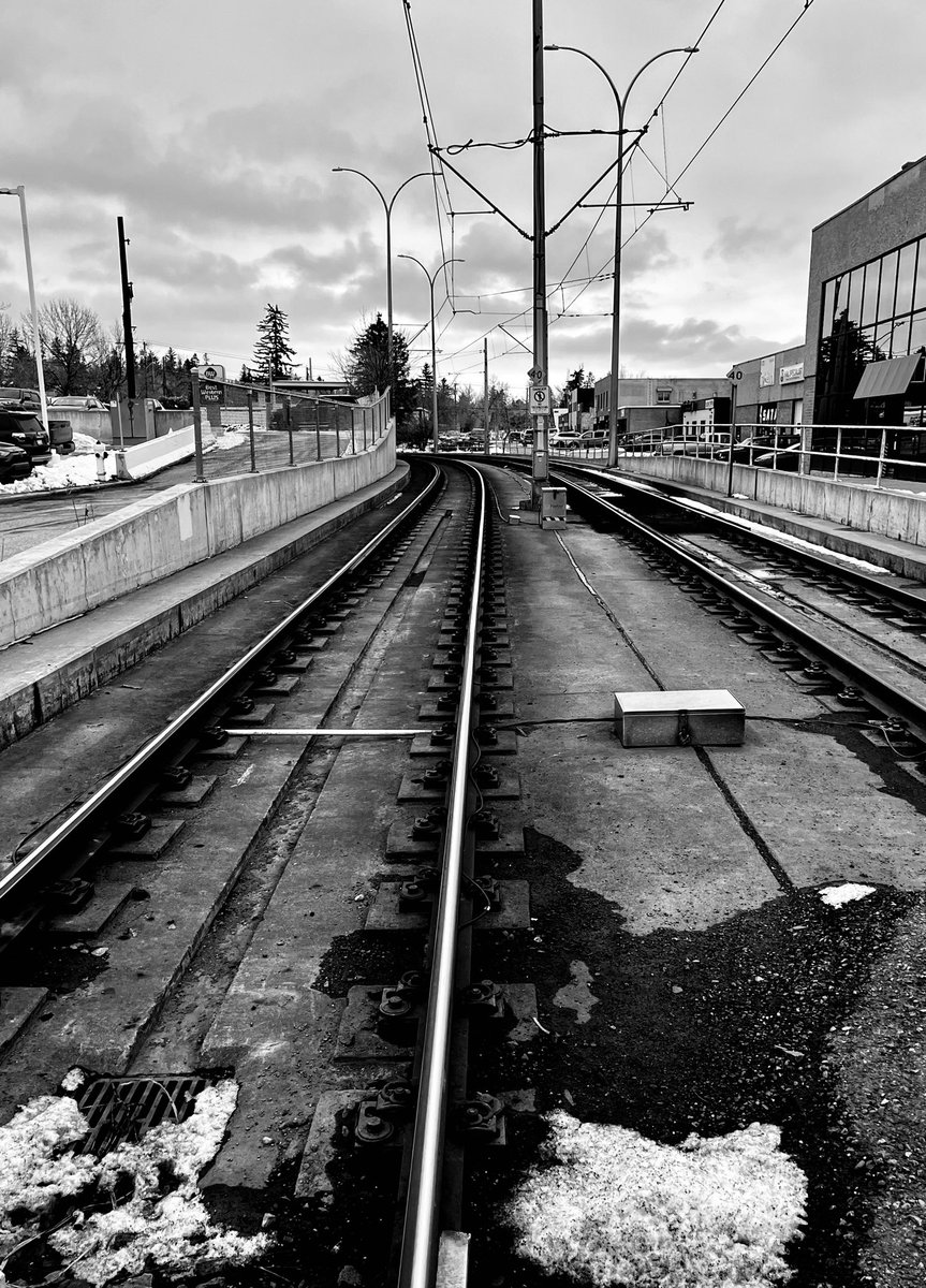 linsen's tweet image. 