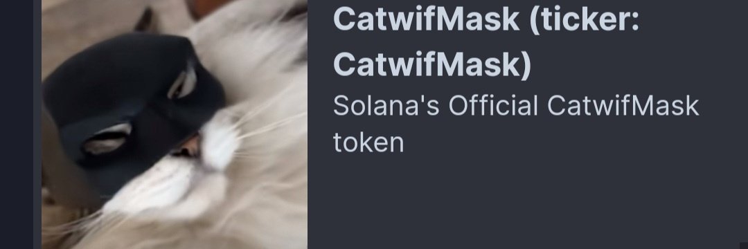 We're Live on @pumpdotfun 

FairLaunch of $CatwifMask 

#SolanaMemeCoins #SolanaMemecoin #Solana