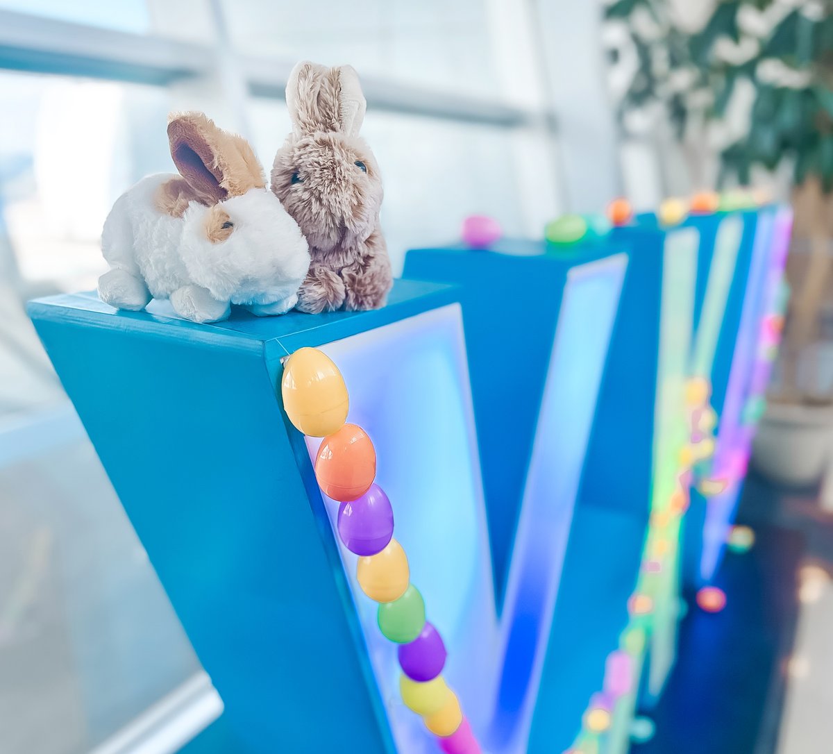 Hopping into the long weekend, Happy Easter! Fun and safe travels from all at London International Airport (YXU) 🐰✈️ Pictured: 3 amazing women from our food services; YXU Market and On the Fly #ldnont #yxu #flyyxu #airport #aviation #airportworkers #services #bunny #easter