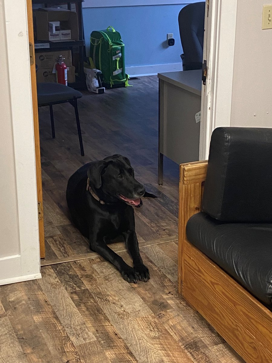 PridestarTEMS's tweet photo. Always a good day when Sadie stops by and hangs at work. She was helping get her partner's PCR report done....in a timely manner of course. Good dog! https://t.co/nqXeaocyCC