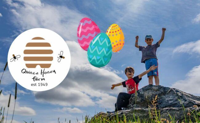 Easter Egg Trail – 29th Mar-5th April. Follow the trail and find nests hidden around the farm, learning fascinating facts, then claim your prize! Plus Beekeeping Demo, Honey Factory Tour & Taste & more. #QuinceHoneyFarm #VisitDevon