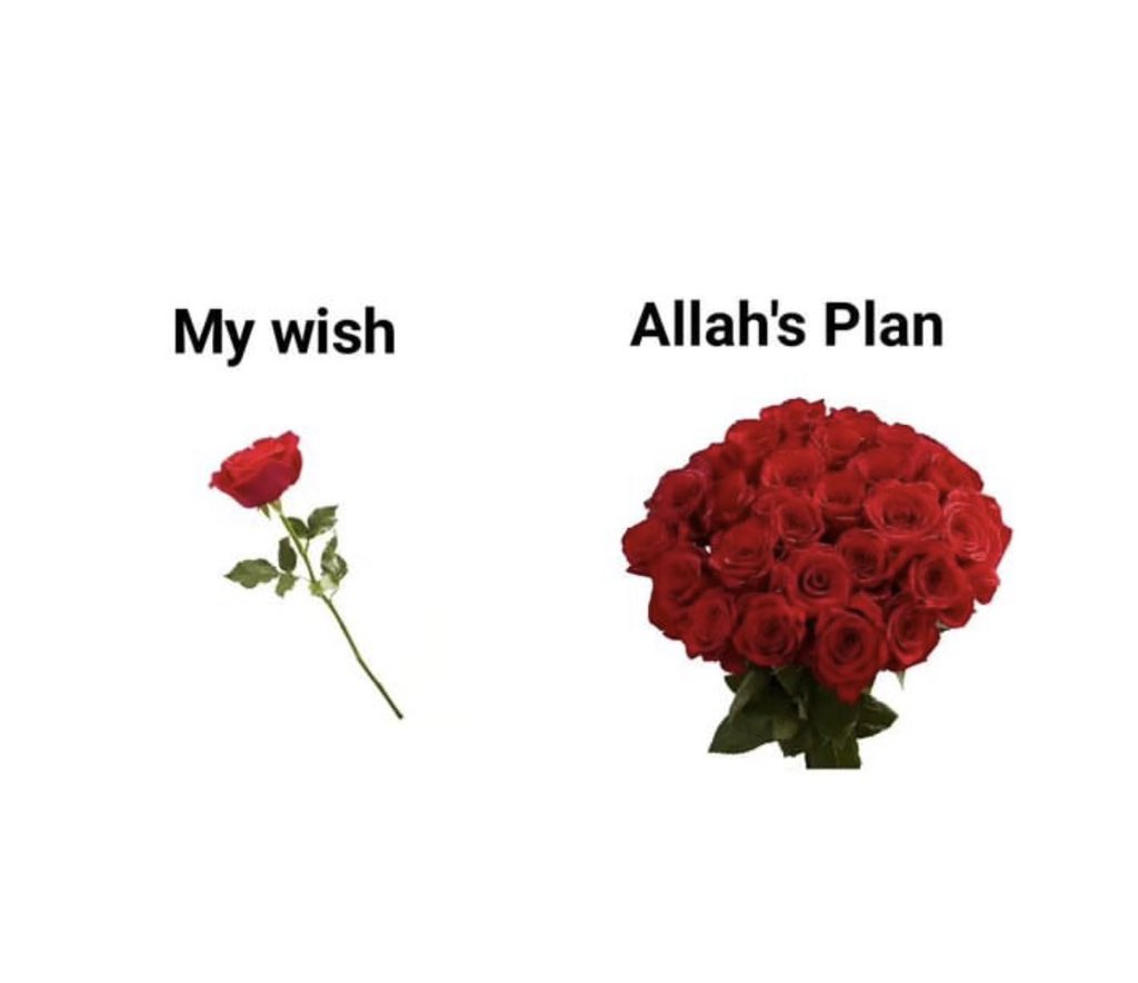 Allah is the best planner 💞🥀