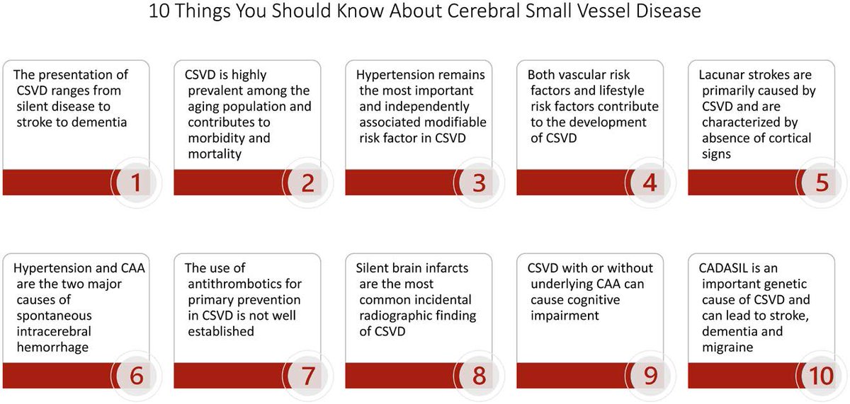 #STROKE: The 10 most important features of cerebral small vessel disease for the practicing neurologist. #InterSECT article by @MerryJean_Losso et al. #AHAJournals ahajrnls.org/4cBHjw3