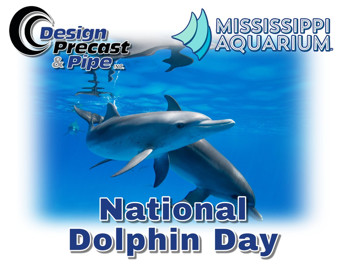 Happy #NationalDolphinDay! Stop by and visit @MS_aquarium to see their amazing dolphins!

📞 (228) 831-5833
📩 info@designprecast.com
🌐 linktr.ee/designprecast

#DPPIdifference #designprecastpipe #superiorprecast #precastconcrete #concretepipes #theliftingeye #laypipefaster