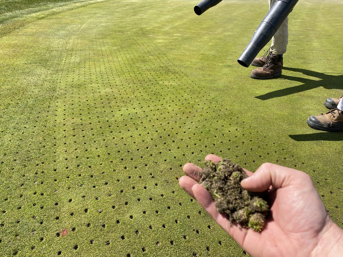 LHCC Grounds tweet media