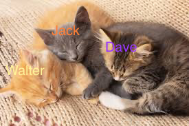 bounsweetie_'s tweet photo. #dsaf #selfship #dsafsona
i was bored lol :p
sooo SELFSHIP ART YIPPE
(Walter x Jack x Dave) https://t.co/QQhj61G9PF